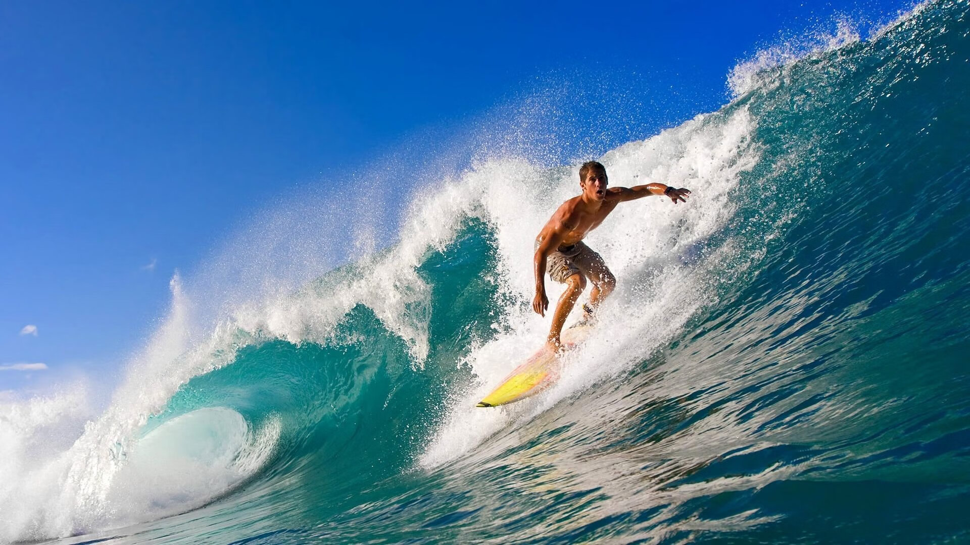 日本马术协会与亚洲马术协会建立合作关系,推动区域发展。,日本马术比赛场地